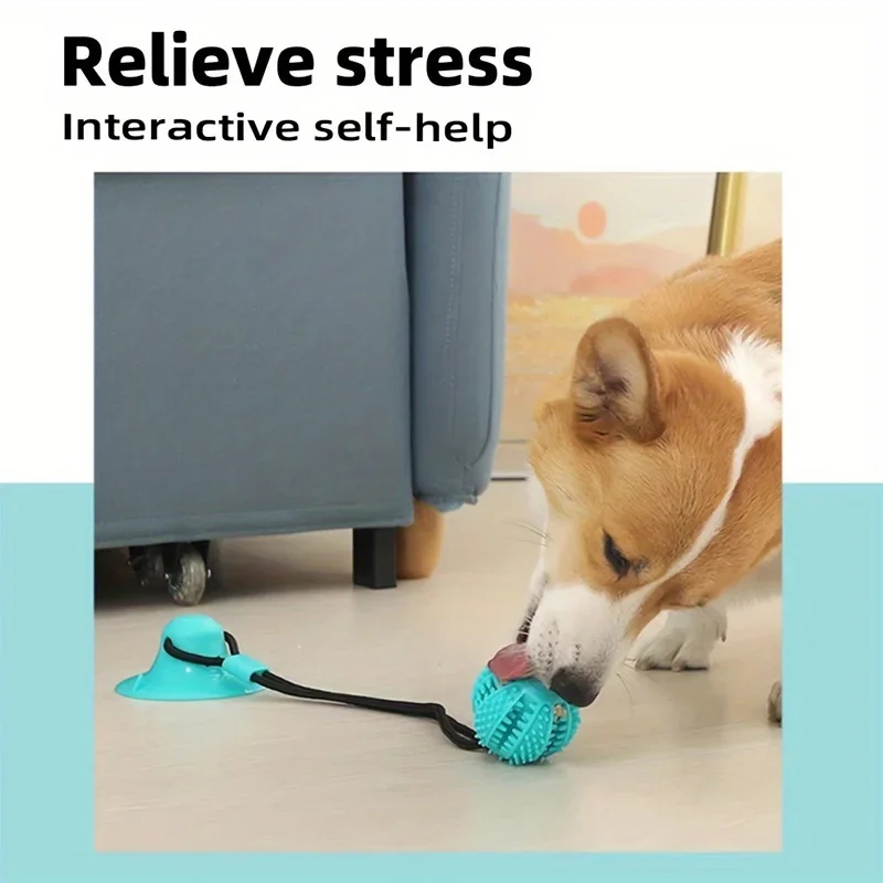 Jouet interactif à ventouse pour chien avec balle distributrice de friandises – vue 2