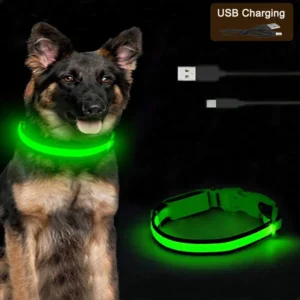 Collier lumineux LED rechargeable USB pour chien
