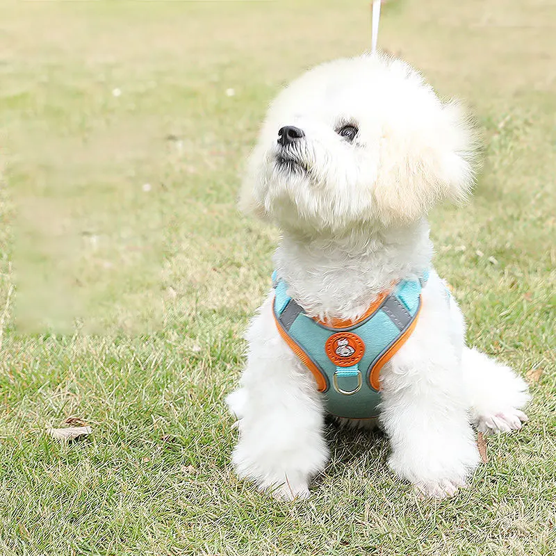Harnais anti-traction réglable pour petit chien et chat – vue 2