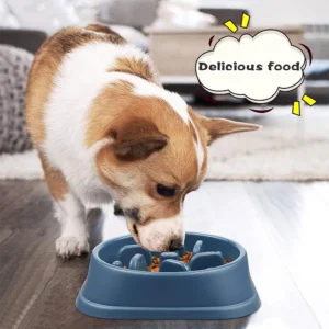 Gamelle anti-glouton pour chien – bol labyrinthe