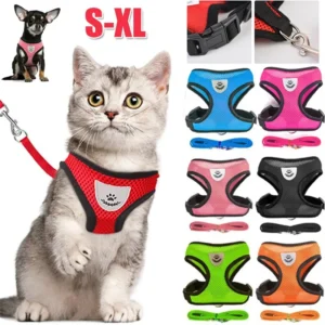 Harnais et laisse pour chat en maille respirante