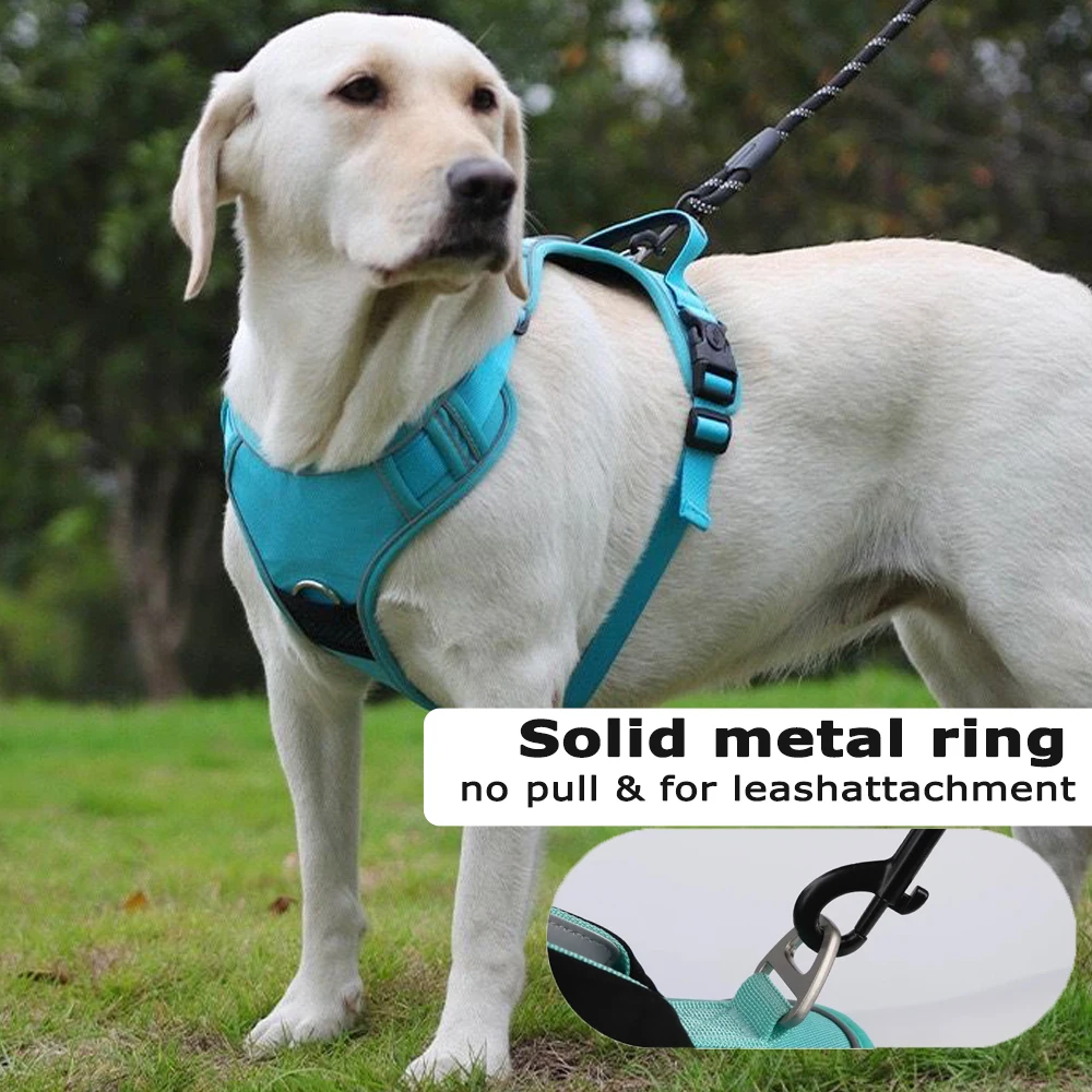 Harnais pour chien réglable et respirant – vue 3