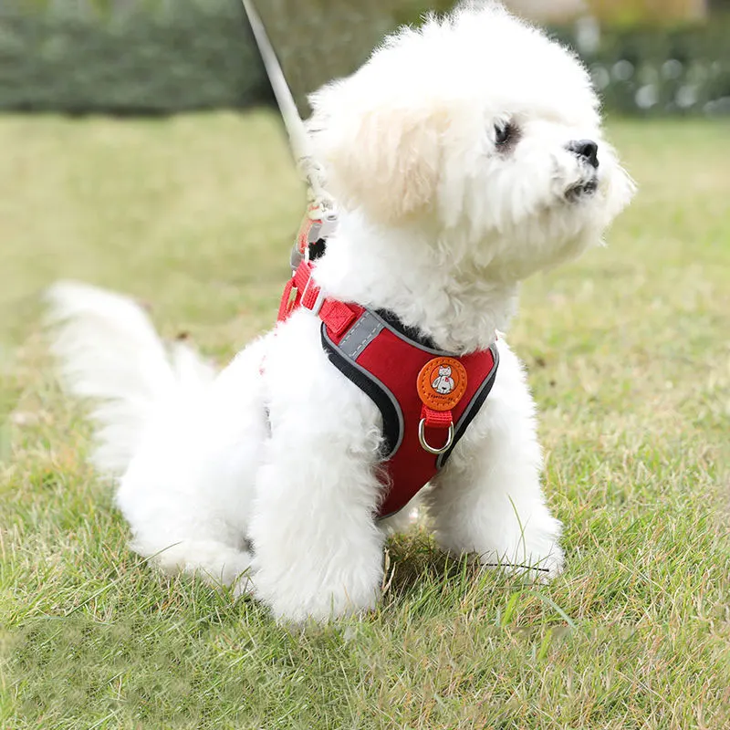 Harnais anti-traction réglable pour petit chien et chat – vue 4